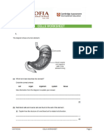 Cells Worksheet