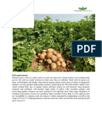 Potatoes PDF With Experts Farmtech