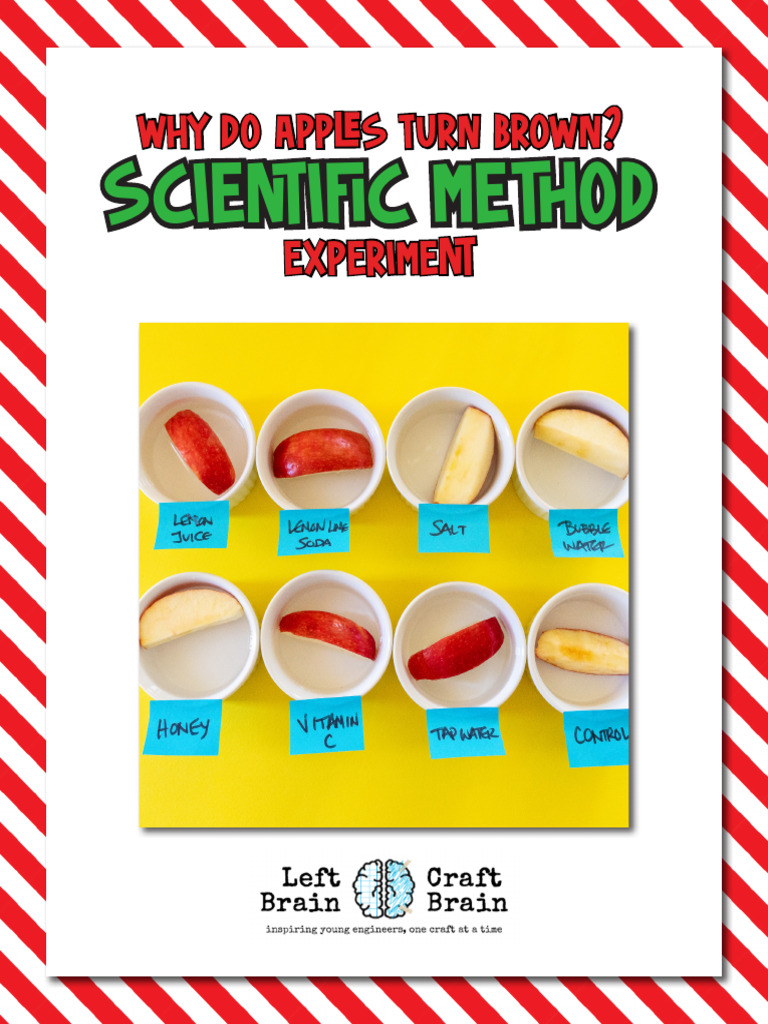 whydoapplesturnbrownleftbraincraftbrain PDF Water