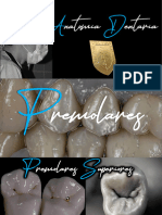 Práctica de Anatomia Dentaria de Dientes Permanentes - 2020 - PREMOLARES - DR Piaggio
