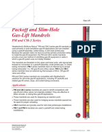 Packoff and Slim Hole Gas Lift Mandrels