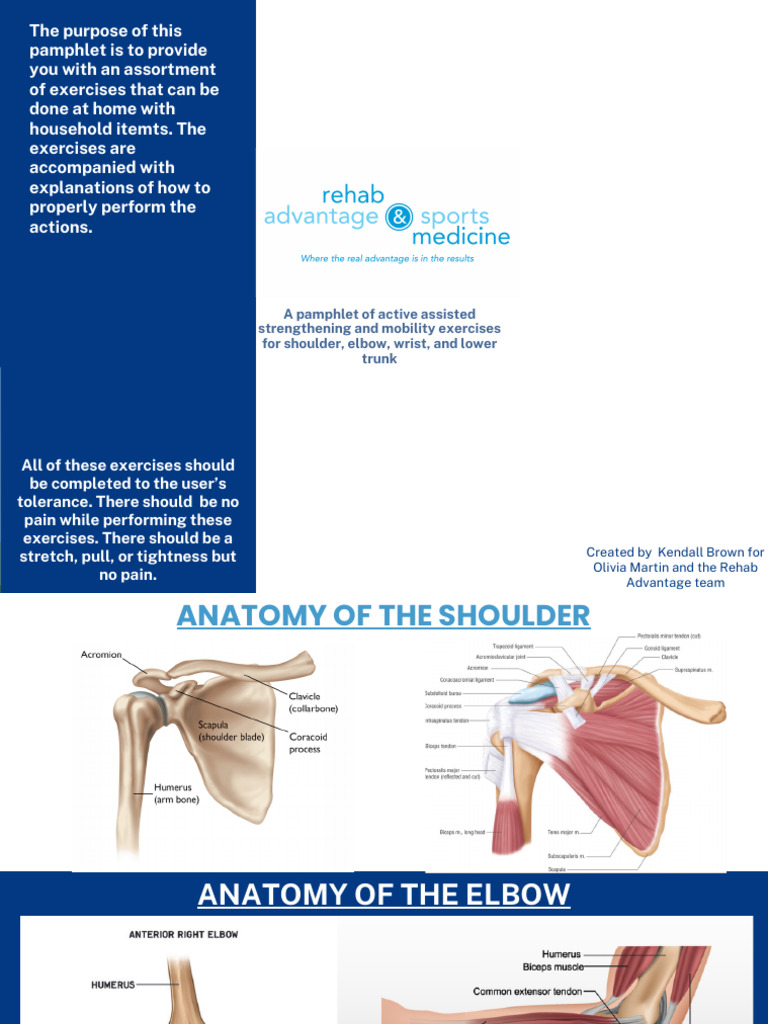 Home Exercises for Shoulder and Elbow Rehab | PDF | Anatomical Terms Of ...