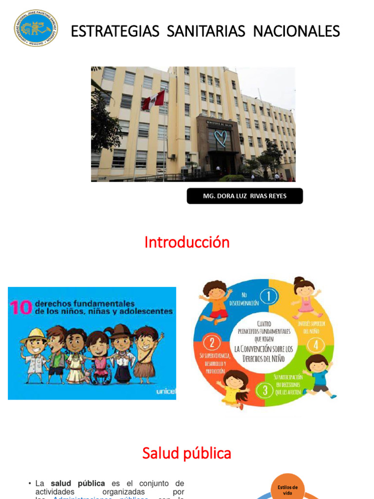 Estrategias Sanitarias Nacionales | PDF | Salud pública