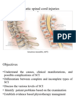 Spinal Cord Injury