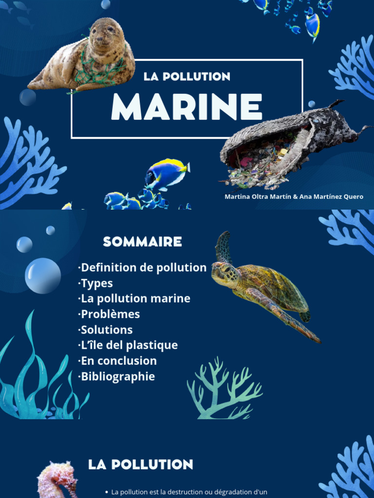 Solutions contre la pollution marine | PDF | la pollution | Plastique