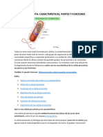 CÉLULA PROCARIOTA y Eucarionta