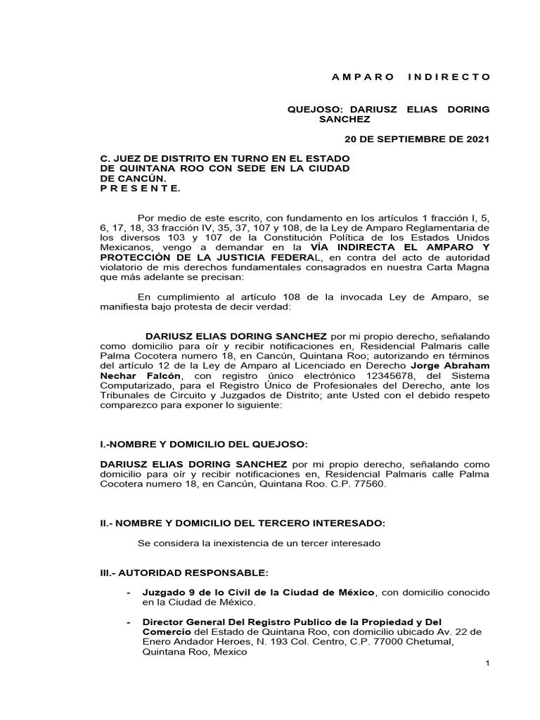 Amparo Indirecto de Dariusz Doring en Cancún | PDF | Derechos humanos ...
