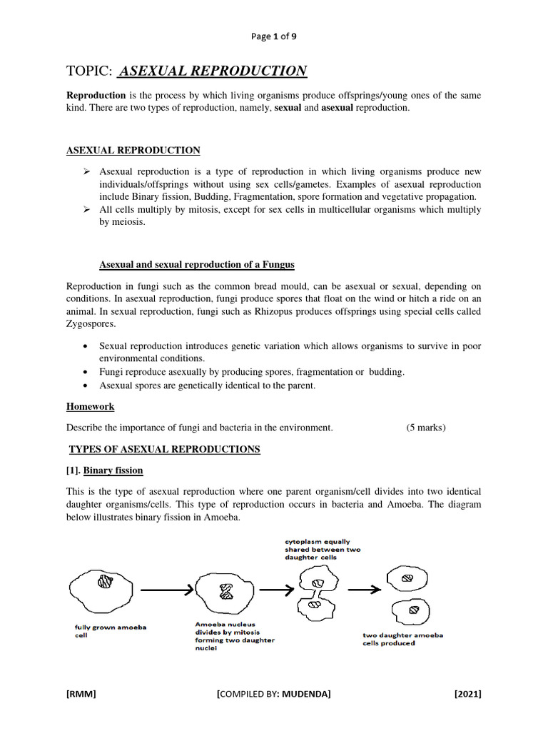 ASEXUAL REPRODUCTION ASSIGNMENT PDF visual data 5