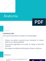 Anatomía