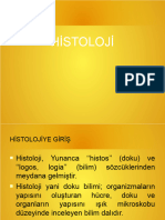 Histolojiye Giriş-DOKULAR