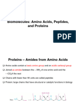 2_Lecture material-Amino acids 04.08.23