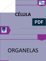 2 - Célula 3