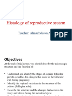 Histology of Reproductive System