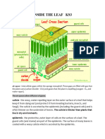 Inside The Leaf KS3