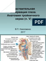 Лекция № 19. Анатомия черепных нервов (V)