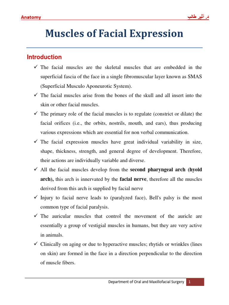 Facial Muscles Overview | PDF | Human Nose | Lip
