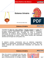 Sistema Urinárino