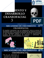 Crecimiento Craneofacial 3