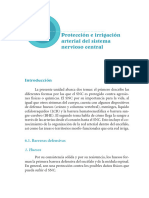 6. ProtecciÃ³n e irrigaciÃ³n