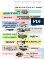 Infografía Bioetica