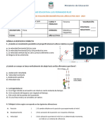 Diagnostico 3ro Fisica