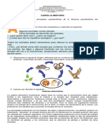 Cadena Alimentaria 7º