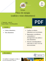 Fluxo de Energia (Cadeias e Teias Alimentares) : Biologia