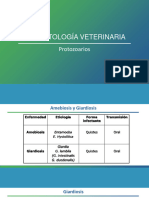 5. Protozoarios (2)