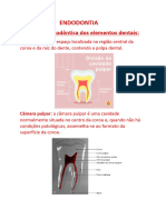 ENDODONTIA