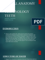 Dental Anatomy Teeth Types and Diff Basic Terminology