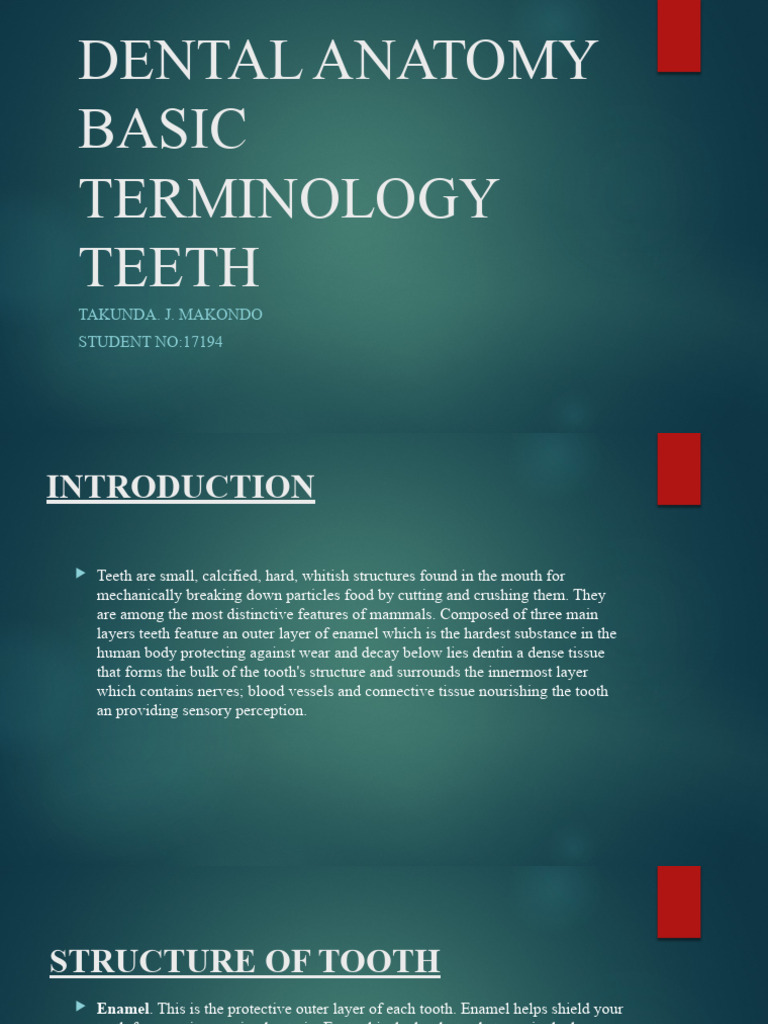 Dental Anatomy: Structure of Teeth | PDF | Human Tooth | Oral Hygiene