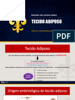 Tecido Adiposo