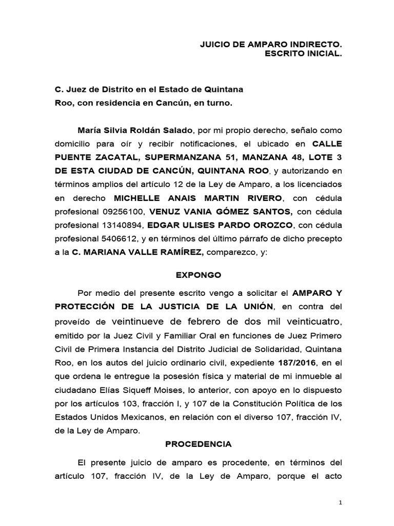 Amparo Indirecto de María Roldán | PDF | Debido al proceso | Caso de ley