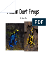 Poisondartfrogs