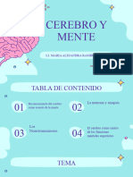 4 El Cerebro Como Centro de Los Funciones Mentales Superiores