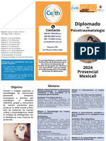 Tríptico DIPLOMADO