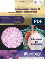 Vacuna Antineumoccócica y Neumo 23