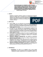 Lineamiento Operativo de Rdg. 005-2024.mtpe