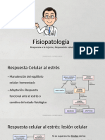 P1 - CLASE 3 - Inflamacion Aguda y Cronica