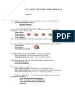 ROTEIRO_PRÁTICO_DE_CÓRTEX_CEREBRAL_E_SISTEMA_TÁLAMO-TELENFECÁLICO