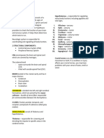 Neurologic Assessment