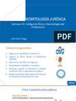 s13 - PPT - Código de Etica Del Profesional