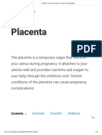 Placenta - Overview, Anatomy, Function & Complications