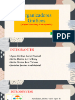 Organizadores Gráficos