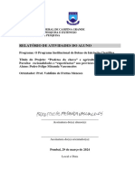 Relatório Parcial Versão Final Assinada