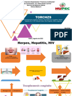 Torchzs: (Toxoplasmosis Congénita, Rubeola, Citomegalovirus Congénito, Herpes