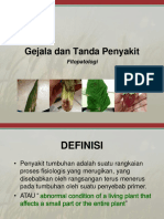 4. Gejala dan Tanda Penyakit