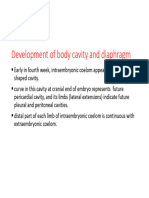Development of Body Cavity and Diaphragm