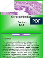 General Histology: (Practical)