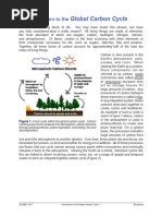 Introduction To Global Carbon Cycle